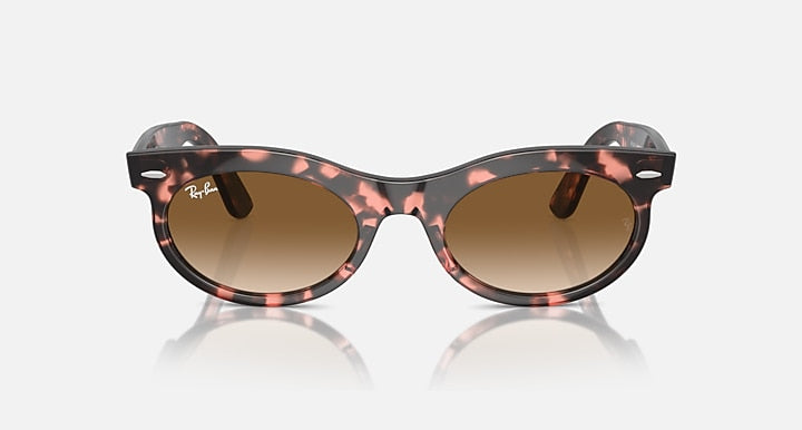 Ray-Ban Wayfarer oval sunglasses in tortoiseshell frame with brown lenses