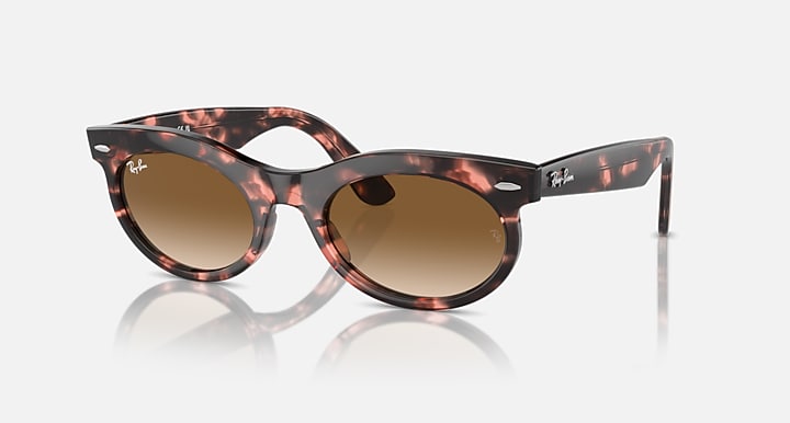 Ray-Ban Wayfarer oval sunglasses with tortoiseshell frame and brown gradient lenses