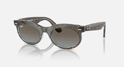 Wayfarer sunglasses with havana frame and dark lenses, low bridge fit