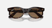 Ray-Ban Wayfarer oval sunglasses with tortoise frame and dark brown lenses