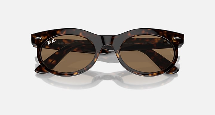 Ray-Ban Wayfarer oval sunglasses with tortoise frame and dark brown lenses