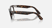 Ray-Ban Wayfarer oval sunglasses, tortoise frame, side profile with clear lenses