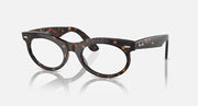 Ray-Ban Wayfarer oval sunglasses with tortoise-brown frame and clear lenses