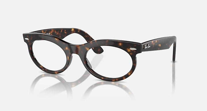 Ray-Ban Wayfarer oval sunglasses with tortoise-brown frame and clear lenses