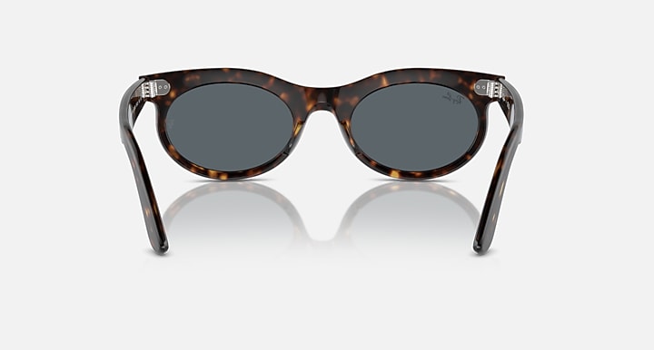 Wayfarer oval sunglasses, tortoise frame with dark gray lenses and metal hinges