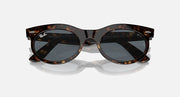 Wayfarer oval sunglasses angled front with tortoise frame and dark gray lenses