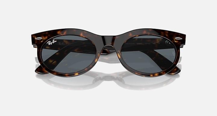 Wayfarer oval sunglasses angled front with tortoise frame and dark gray lenses