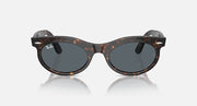 Wayfarer oval sunglasses, tortoise frame with dark gray lenses, front view
