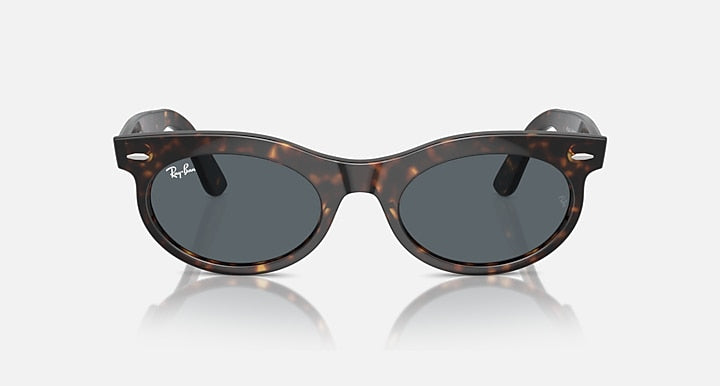 Wayfarer oval sunglasses, tortoise frame with dark gray lenses, front view