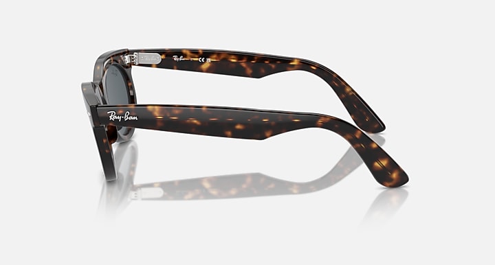 Wayfarer oval sunglasses side profile with tortoise frame and dark gray lenses