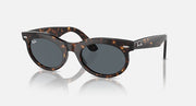 Wayfarer oval sunglasses with tortoise frame and dark gray lenses