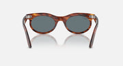 Wayfarer oval sunglasses top view, tortoise frame and dark gray lenses