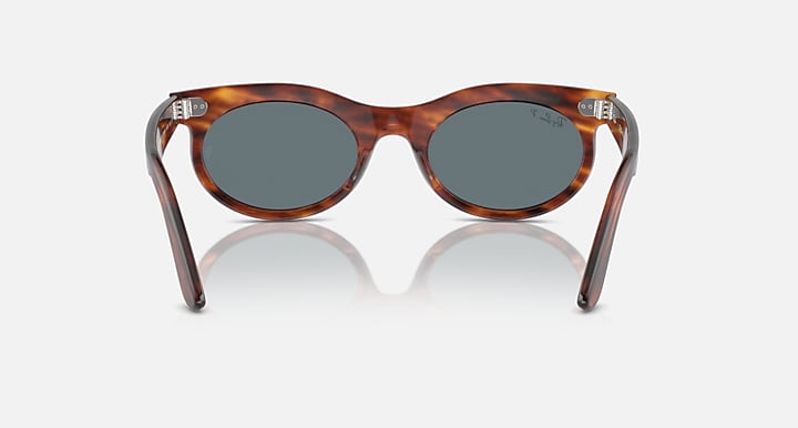 Wayfarer oval sunglasses top view, tortoise frame and dark gray lenses