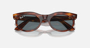 Wayfarer oval sunglasses wide front view with tortoise frame and dark gray lenses
