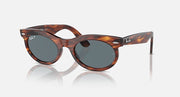 Wayfarer oval sunglasses angled left view, tortoise frame and dark gray lenses