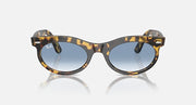 Ray-Ban wayfarer oval sunglasses with havana frame and blue tinted lenses