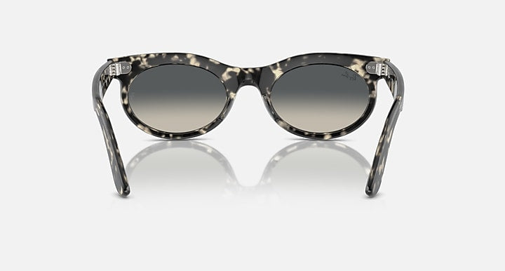 Ray-Ban wayfarer oval sunglasses with black patterned frame and dark lenses