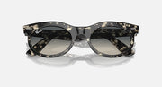 Ray-Ban wayfarer oval sunglasses with black patterned frame and dark blue lenses