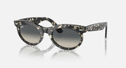 Ray-Ban wayfarer oval sunglasses with black frame and dark lenses