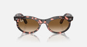Ray-Ban Wayfarer oval sunglasses, tortoise frame, brown tinted lenses