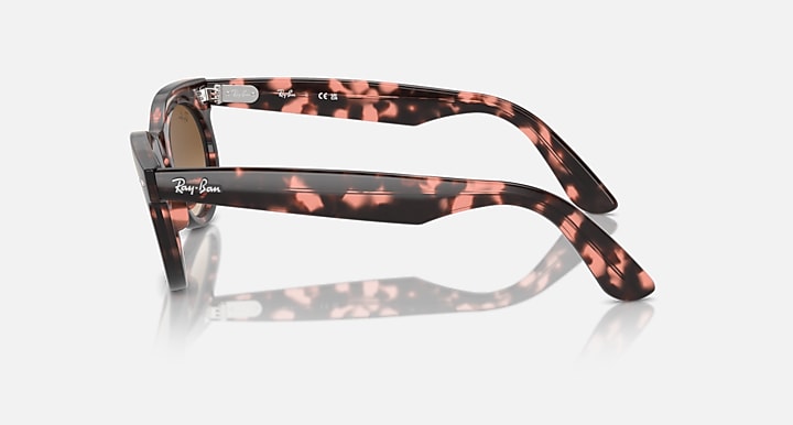 Ray-Ban Wayfarer oval sunglasses, tortoise acetate frame, brown lenses, side view