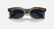 Wayfarer oval sunglasses with tortoise frame and dark round lenses