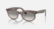 Wayfarer oval sunglasses with dark tortoise frame and gray round lenses