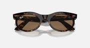 Oval sunglasses with tortoise-pattern frame and dark brown lenses