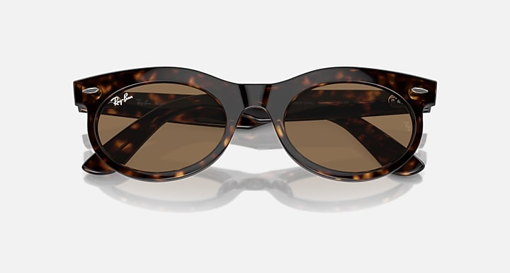 Oval sunglasses with tortoise-pattern frame and dark brown lenses