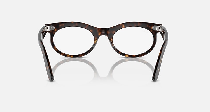 Oval sunglasses with dark tortoise-pattern frame and clear lenses