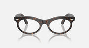 Oval sunglasses with dark tortoise-pattern frame and clear lenses