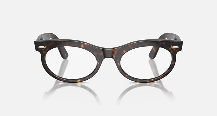 Oval sunglasses with dark tortoise-pattern frame and clear lenses