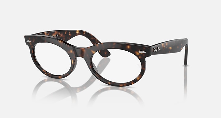 Oval sunglasses with dark tortoise-pattern frame and clear lenses