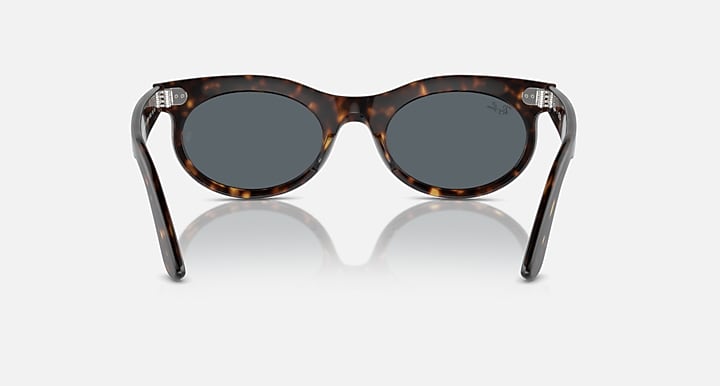 Ray-Ban tortoiseshell oval sunglasses with dark lenses and metal frame details