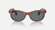 Ray-Ban tortoiseshell oval sunglasses, front view with dark lenses and temples