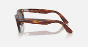 Ray-Ban tortoiseshell oval sunglasses, side view showing dark lens and temple