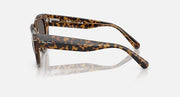 Ray-Ban cat-eye sunglasses, havana tortoise frame, side profile with metal hinges.