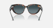 Cat-eye sunglasses with tortoiseshell front and clear metal arms, front view