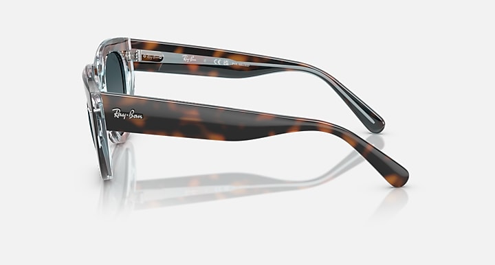 Cat-eye sunglasses side view with dark tortoiseshell acetate frame and metal temple