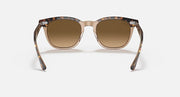Ray-Ban sunglasses with tortoiseshell frame and brown lenses, centered front view