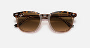 Ray-Ban sunglasses with tortoiseshell frame and dark brown lenses, front view