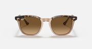 Ray-Ban sunglasses with tortoiseshell frame and brown lenses, front view