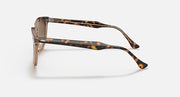 Ray-Ban sunglasses with tortoiseshell frame, side profile and temple tip