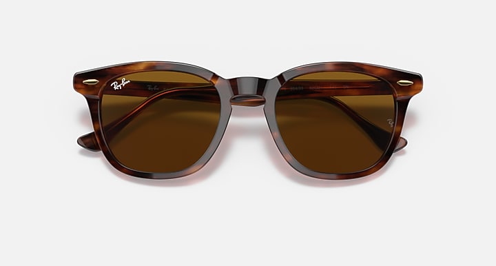 Ray-Ban Hawkeye sunglasses, tortoiseshell frame with dark brown polarized lenses