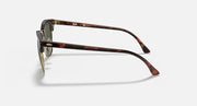 Ray-Ban Clubmaster sunglasses, tortoise temples with gold hinges and dark green lens