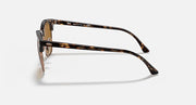 Clubmaster sunglasses side view with Havana tortoise frame and amber lenses