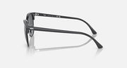 Black Clubmaster-style sunglasses showing side temple and hinge detail