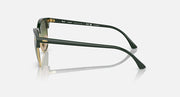 Green Clubmaster-style sunglasses showing side temple and gold hinge accents