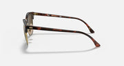 Clubmaster-style sunglasses side profile with tortoiseshell frame and metal temple details