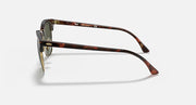 Clubmaster sunglasses side view, tortoise arms and dark green lenses